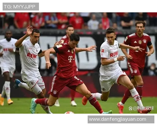 福图纳迎战南锡期待一场精彩对决展现足球魅力与团队精神